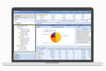 Miniatura IBM Risk Analytics