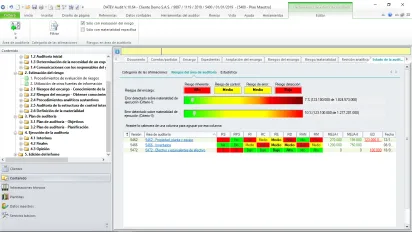 Miniatura DATEV Audit