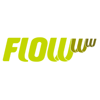 FLOWww Marketing logotipo