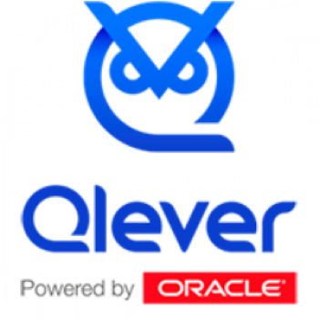 Qlever logotipo